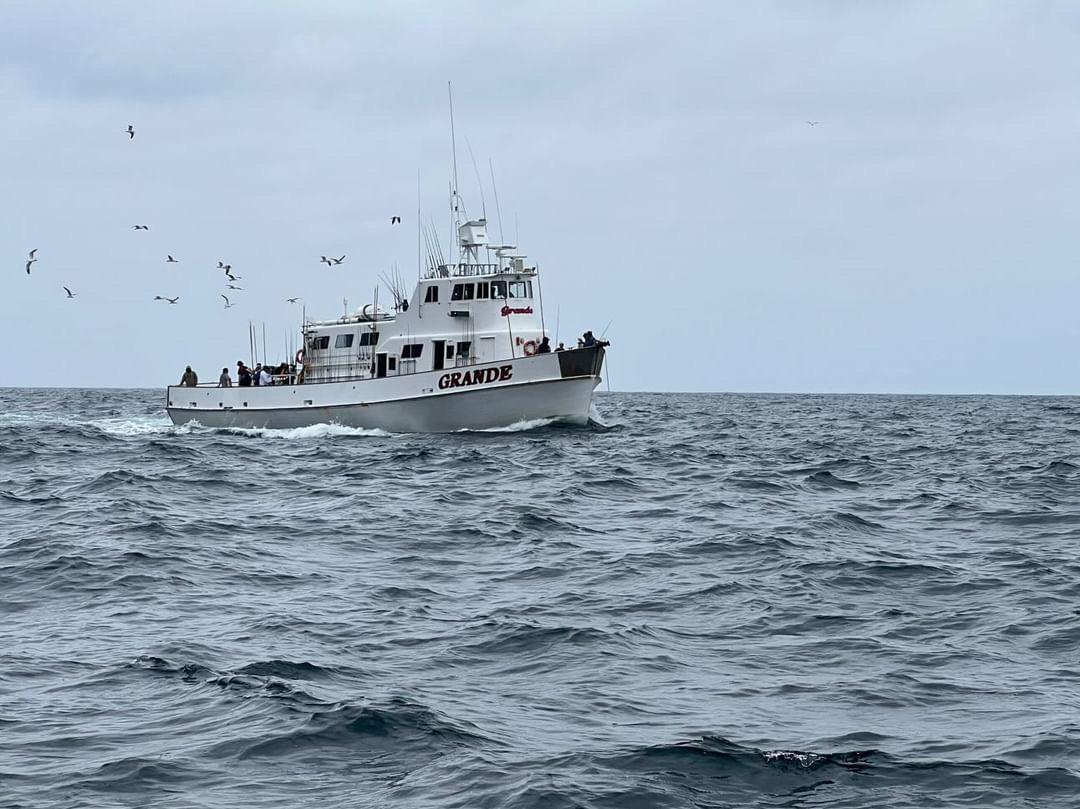 stern view of the Grande boat